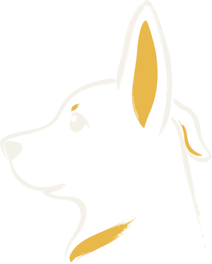 Diting — a dog with one ear raised, listening